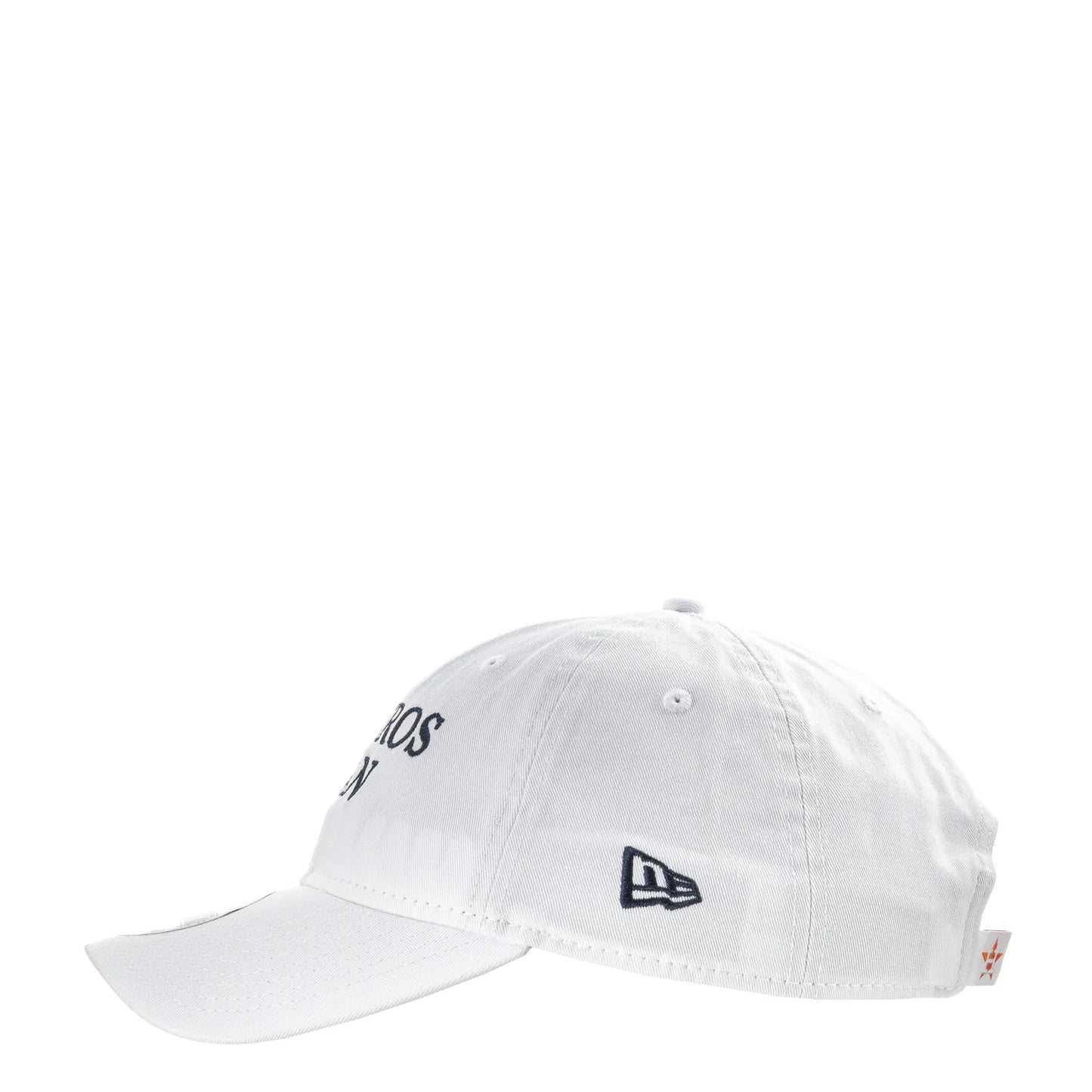 Astros Team Fan 920