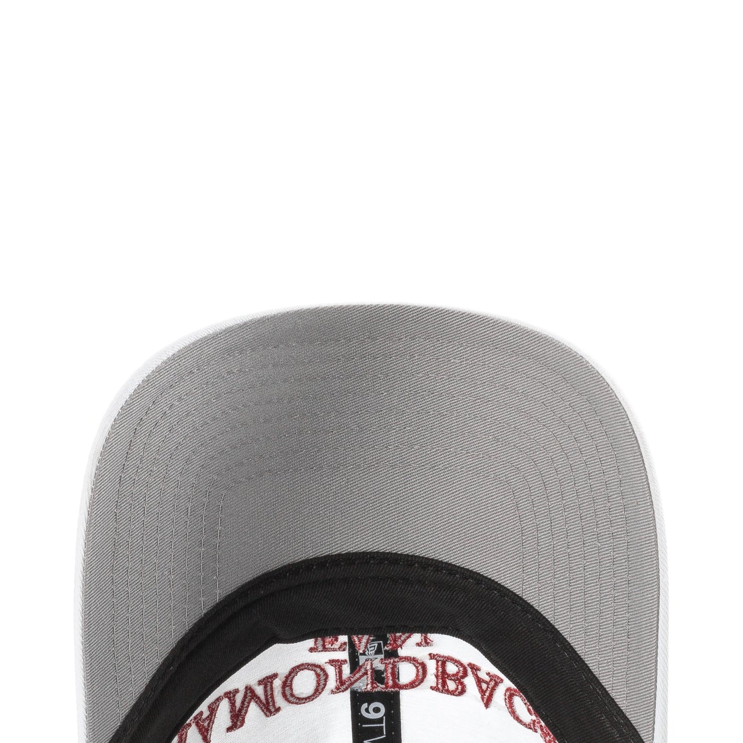 Diamondbacks Team Fan 920