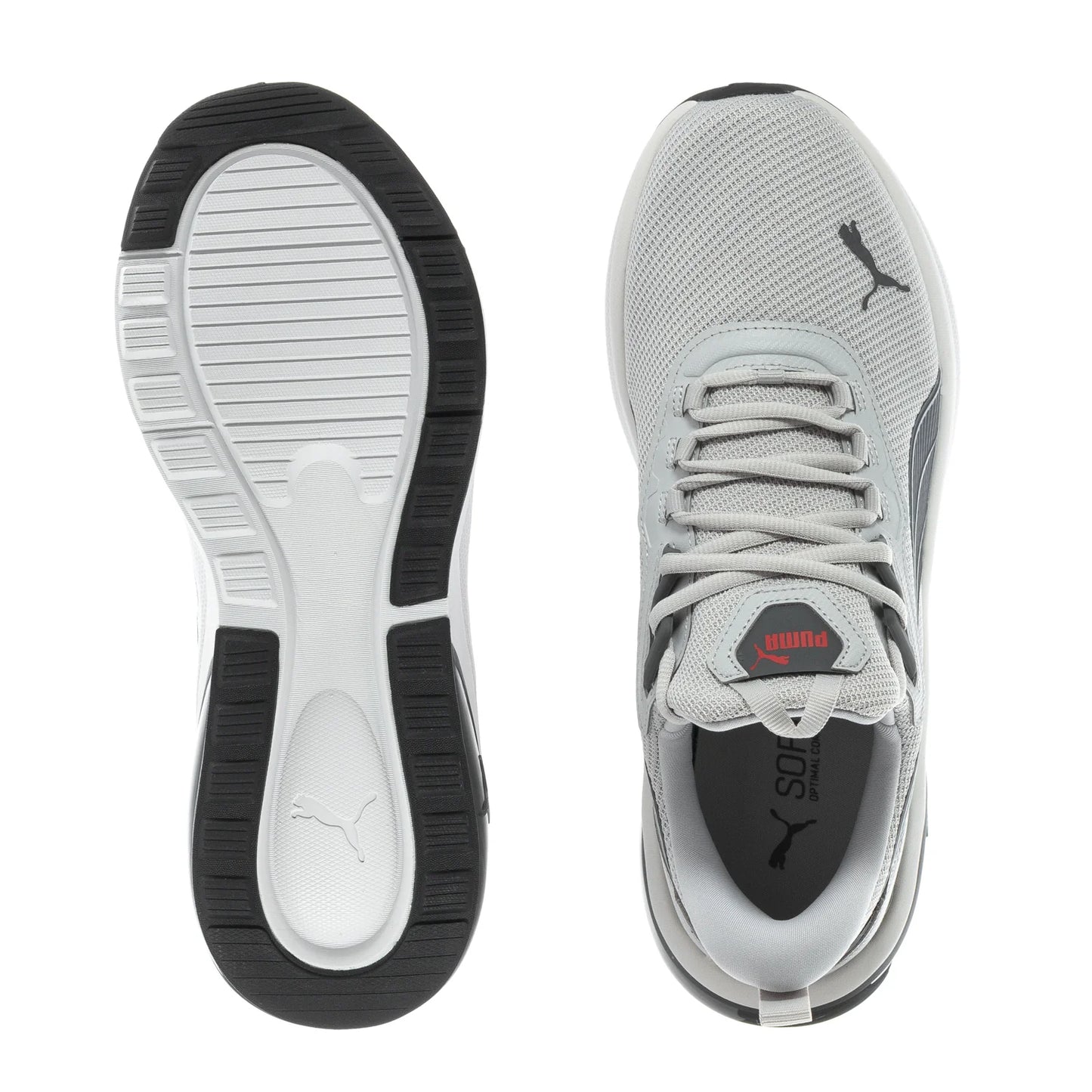 Seeker- Mens