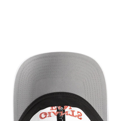 Giants Team Fan 920