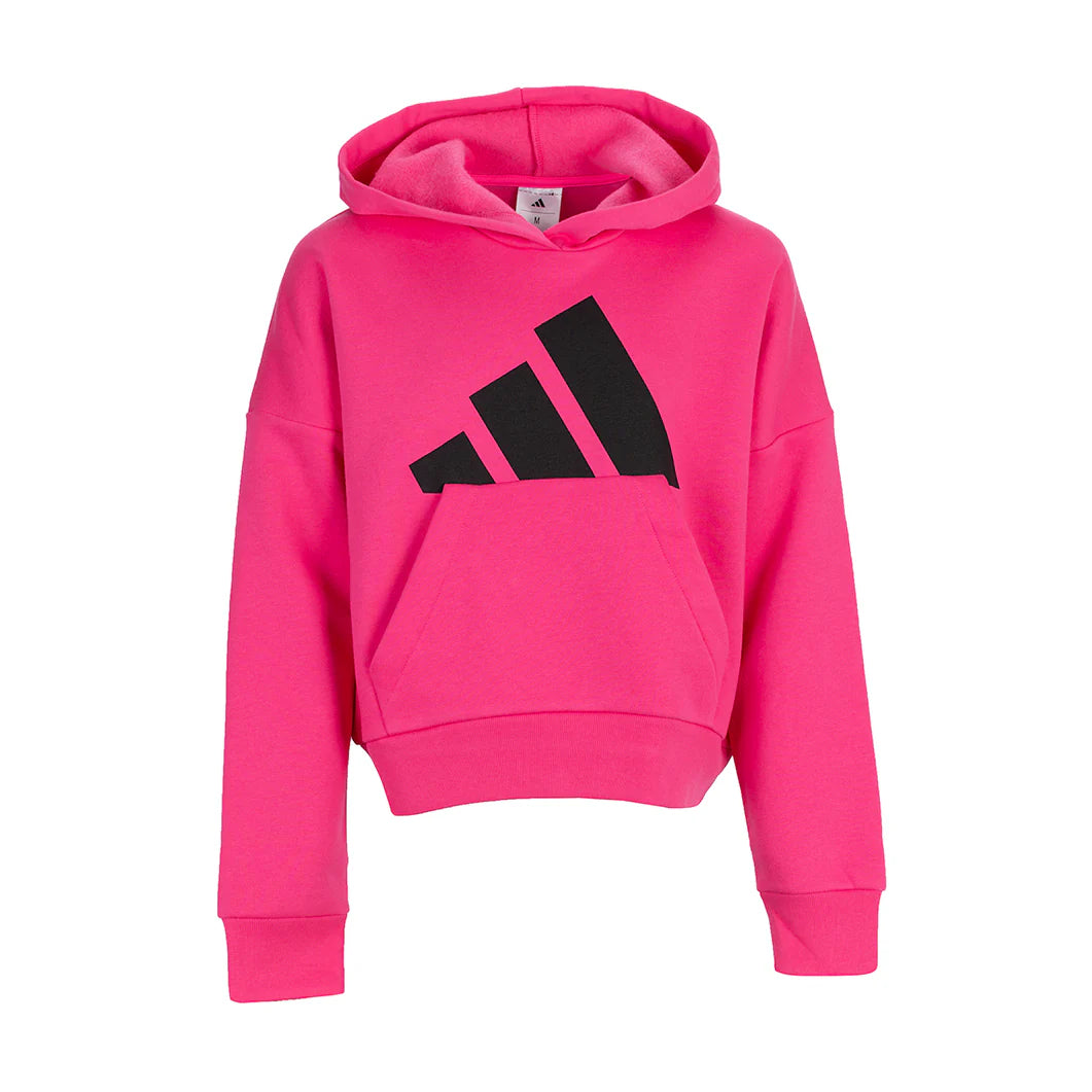 Essential Big Logo Fleece PO Hoody - Youth