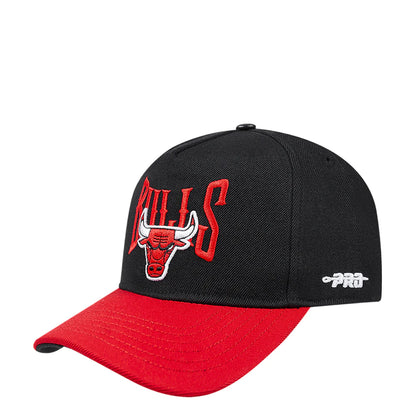 Bulls City Tour 2.0 Pinch Front 2-Tone Snapback