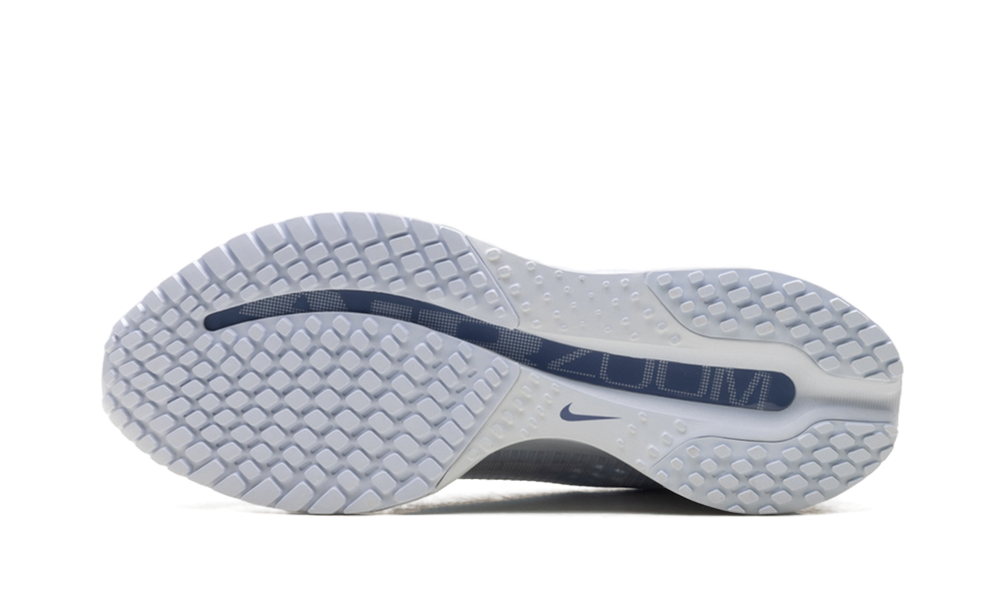 Air Zoom Pegasus Premium WMNS"Football Grey" HQ2593 006