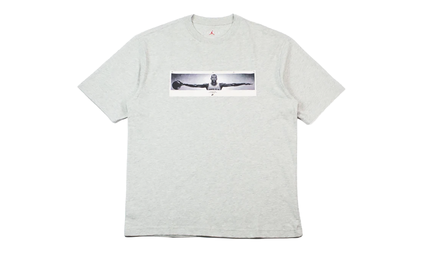 Wingspan Photo T-Shirt "Grey" IF5617 050