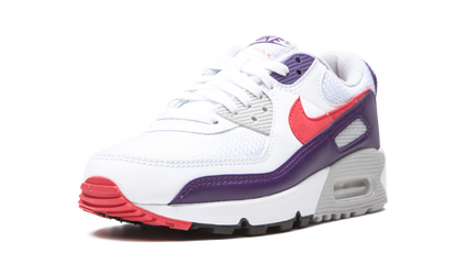 Air Max 90 WMNS"Eggplant" CW1360 100