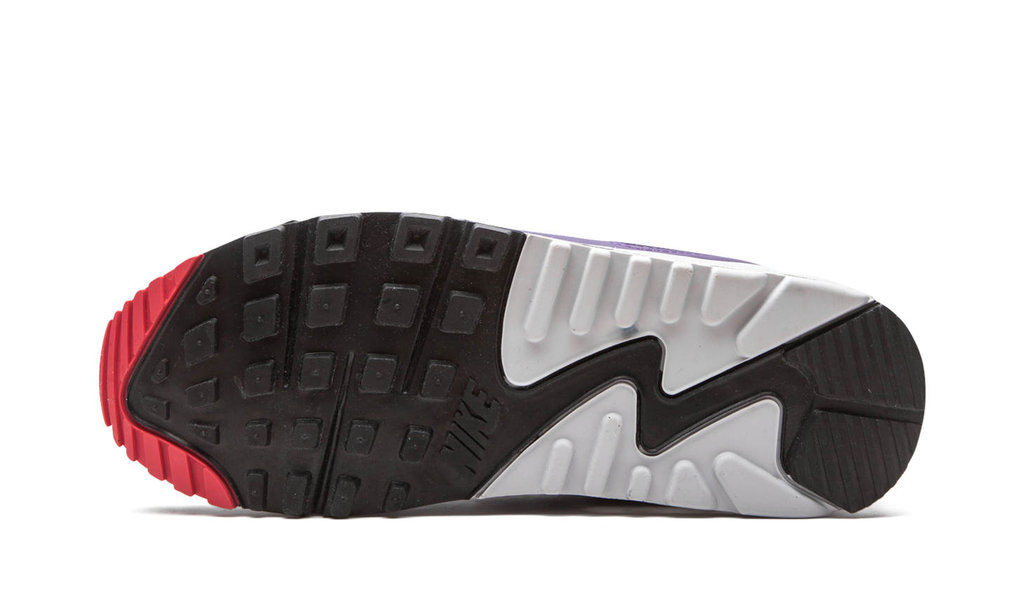 Air Max 90 WMNS"Eggplant" CW1360 100