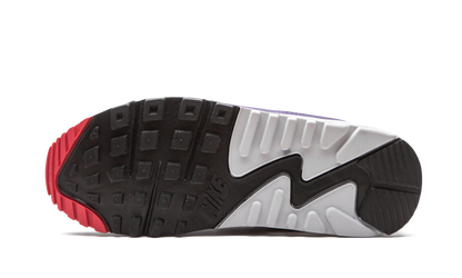 Air Max 90 WMNS"Eggplant" CW1360 100