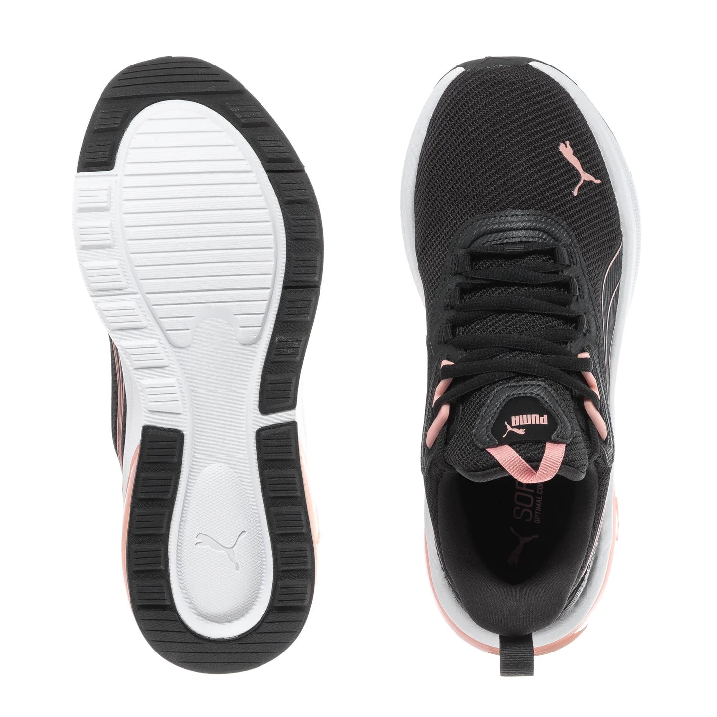 Seeker - Womens