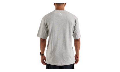 Wingspan Photo T-Shirt "Grey" IF5617 050
