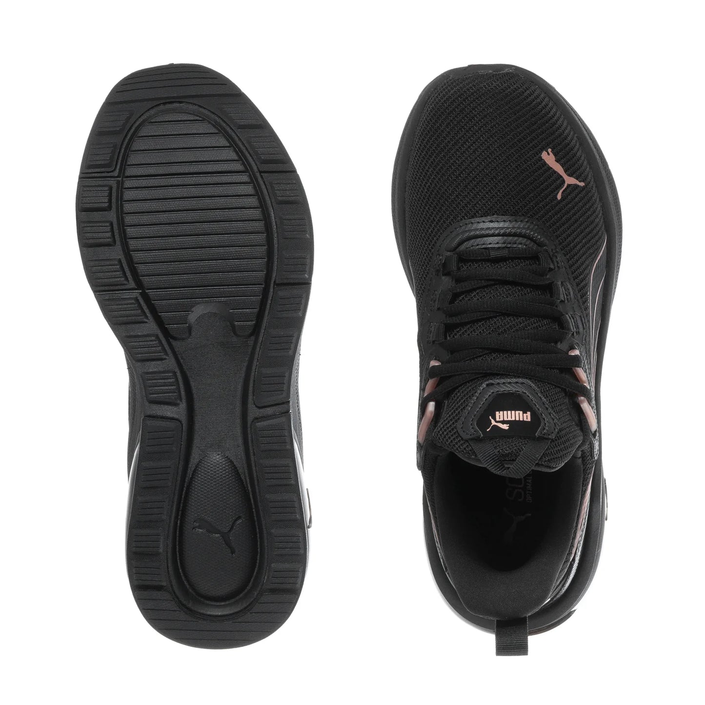 Seeker - Womens